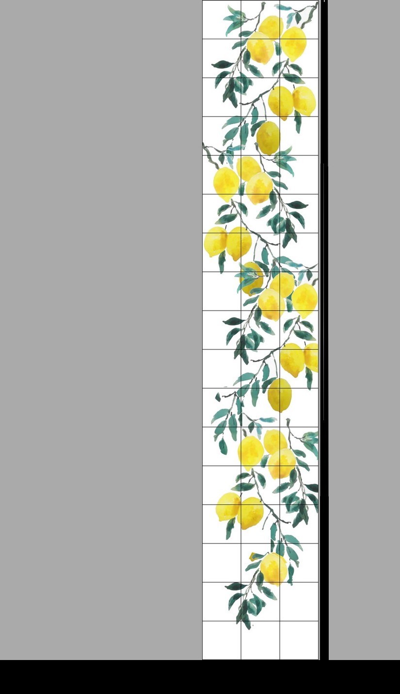 les Citrons de Menton